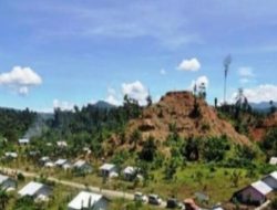 Sagu dan Beras: Ketersingkiran dan (Kemungkinan) Kebangkitan Pangan Lokal (Bagian Ketujuh)