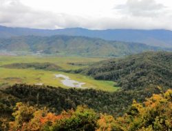 Sagu dan Beras: Ketersingkiran dan (Kemungkinan) Kebangkitan Pangan Lokal (Bagian Keenam)