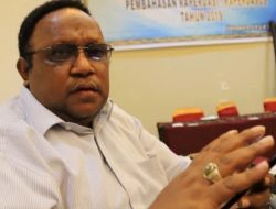 Grand Design Pembangunan Ekonomi Papua