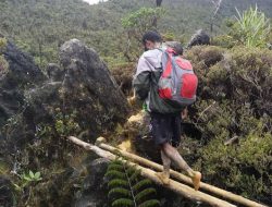 Selama Indonesia Merdeka, Warga Desa di Deiyai, Papua Tengah Jalan Kaki Tiga Hari Tiga Malam