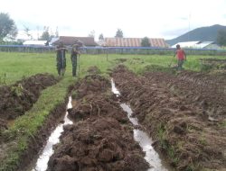 Anggota Babinsa Gotong Royong Buka Kebun Baru di Pania Barat