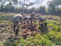 Anggota Koramil di Kabupaten Deiyai Gotong-Royong Olah Tanah Kosong Untuk Dijadikan Lahan Produktif