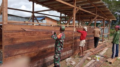 Babinsa Koramil Tigi Bantu Bangun Rumah Warga Deiyai di Kampung Idhege