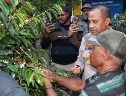 Kapolda Papua Tengah Alfred Papare Bersama Forkopimda Puncak Jaya Kunjungi Perkebunan Kopi Mulia