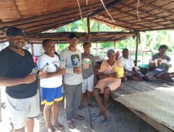 YPMAK Dorong Produksi Virgin Coconut Oil Uta Ditingkatkan dan Berdayakan Lahan Budidaya Warga