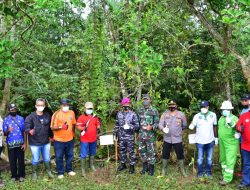 Penanaman Seribu Pohon di Kabupaten Sorong Peringati Hari Lingkungan Hidup Sedunia