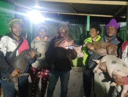 Lembaga Masyarakat Sejahtera Papua Berdayakan Warga Kampung Melalui Kelompok Keaksaraan Mandiri