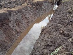 Kepala Kampung Pimpin Warga Bangun Drainase di Boduda, Kabupaten Dogiyai