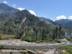 Warinussy Minta Panglima TNI dan Kapolri Tinjau Kembali Penempatan Personil di Intan Jaya, Papua