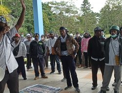 Kisruh Rekrutmen CPNS Formasi 600, Puluhan Honorer Datangi Kantor BKPSDM Kabupaten Mimika