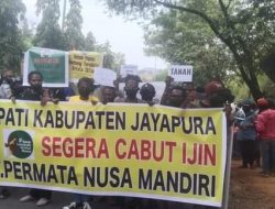 Komunitas Adat Desak Bupati Jayapura Awoitauw Tutup Perusahaan Sawit di Grime Nawa