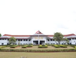 Sebanyak 226 Peserta dari Provinsi Papua Tengah yang Lulus Tes IPDN 2023: Inilah Nama dari Delapan Kabupaten dan  69 Non Papua