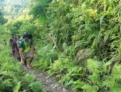 Pria Papua Ini Gendong Ibu Guru yang Sakit Melewati Hutan Untuk Berobat ke Puskesmas Tetangga