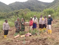 Prajurit TNI dan Polri Bersama Warga Lakukan Penanaman Sejuta Pohon di Kabupaten Paniai