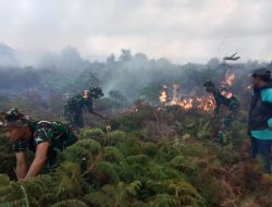 Giat Membantu Masyarakat Membuka Lahan Kosong Untuk Dijadikan Lebih Produktif Menjelang Musim Tanam