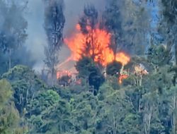 OPM Klaim Serang Pos Aparat Keamanan Indonesia dan Bakar Rumah Pemerintah di Intan Jaya