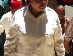 Anggota Badan Pengarah Otsus Papua Irene Manibuy: Percepatan Pembangunan Papua Dibagi Lima Tahap