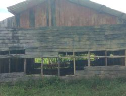 Sepotong Wajah Naas Pendidikan di Yahukimo: Dua Kelas Satu Rombongan Belajar, Nihil Gedung, dan Diasuh Guru Lulusan Sekolah Dasar