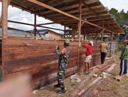 Babinsa Koramil Tigi Bantu Bangun Rumah Warga Deiyai di Kampung Idhege
