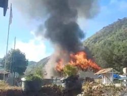 Pasukan TPNPB OPM Klaim Bakar Satu Gedung SD dan Tewaskan 4 Aparat TNI-Polri di Intan Jaya