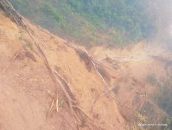 Ruas Jalan Antar Distrik di Wilayah Mapia, Kabupaten Dogiyai Putus Total Diterjang Banjir dan Longsor
