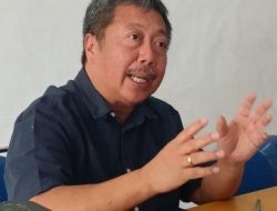 Mean Years of Schooling, Investasi, dan Smelter