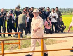 Kapolda Papua Irjen Renwarin Dampingi Kunjungan Kerja Presiden Prabowo di Kabupaten Merauke