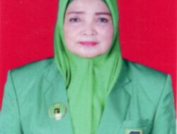 Srikandi Partai Persatuan Pembangunan Raih Kursi Semata Wayang di DPR Papua Tengah 2024-2029