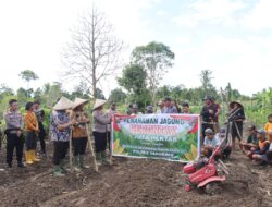 Dukung Program Ketahanan Pangan Presiden, Kapolres Yahukimo dan Forkopimda Lakukan Penanaman Bibit Jagung