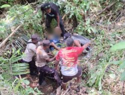 Kecelakaan di Jalan Baru Kampung Waibron, Ibu Rumah Tangga Tewas dan 2 Lainnya Menderita Luka