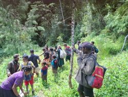 Konflik Bersenjata Antara TNI-Polri dan Tentara OPM Meningkat, Ribuan Warga Mengungsi 