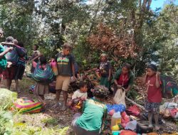 Senator Minta Presiden Prabowo Subianto Bujuk 60 Ribu Orang Asli Papua Kembali dari Pengungsian