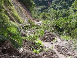 Pembelajaran dari Longsor di Ruas Jalan Trans Papua
