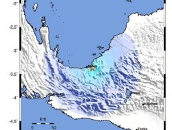 Gempa Bermagnitudo 4,0 Kembali Mengguncang Nabire, BMKG Sebut Tidak Berpotensi Terjadi Tsunami