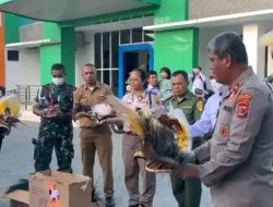 Pembakaran Mahkota Cenderawasih Oleh BKSDA Tuai Kecaman, Tabuni: Melukai Hati Orang Papua