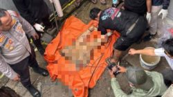 Istri Pejabat Pajak di Manokwari Jadi Korban Mutilasi, Pelaku Diduga Bekas Kuli Bangunan