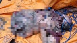 Kasus Mutilasi Istri Pegawai Pajak Manokwari, Mayat Dipotong dari Pangkal Paha Jadi Tiga Bagian