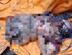 Kasus Mutilasi Istri Pegawai Pajak Manokwari, Mayat Dipotong dari Pangkal Paha Jadi Tiga Bagian