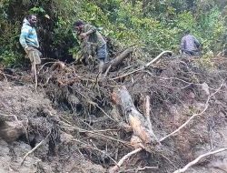 12 Pelajar dari 15 Warga Hilang Diterjang Longsor di Kabupaten Nduga, Provinsi Papua Pegunungan