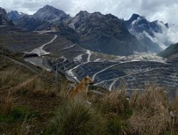 Tambang Freeport Lumpuh, Pertumbuhan Ekonomi Papua Langsung Anjlok