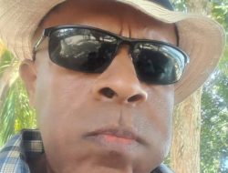 Urgensi Peningkatan PAD Pemda di Tanah Papua (2)