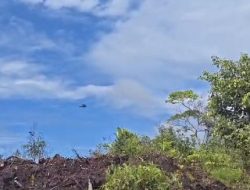 Pihak OPM Sebut Aparat Keamanan Indonesia Lakukan Serangan Gunakan Tiga Helikopter di Gearek
