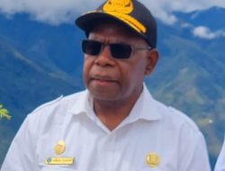 Buah Matoa, Potensi Si Manis dari Tanah Papua