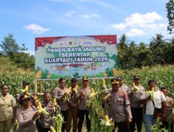 Panen Raya Jagung Secara Serentak Kuartal Pertama Tahun 2026 di Distrik Sentani Kabupaten Jayapura