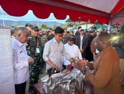 Wapres Gibran Rakabuming Dorong Pengembangan Kopi Saat Kunjungan ke Papua Pegunungan