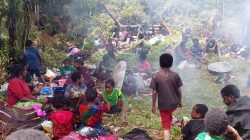 Warga Masyarakat Distrik Kembru di Kabupaten Puncak Mengungsi ke Hutan Akibat Operasi Militer