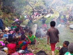 Warga Masyarakat Distrik Kembru di Kabupaten Puncak Mengungsi ke Hutan Akibat Operasi Militer