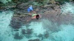 Mutiara di Ujung Timur (2): Kemilau Alam di Bumi Perawan