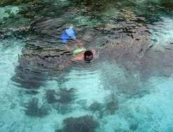 Mutiara di Ujung Timur (2): Kemilau Alam di Bumi Perawan