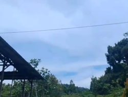 Sebby Sambom Klaim Tentara OPM Terlibat Kontak Tembak dengan Aparat Keamanan di Nabire